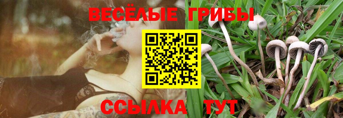 Псилоцибиновые грибы Psilocybe Ревда